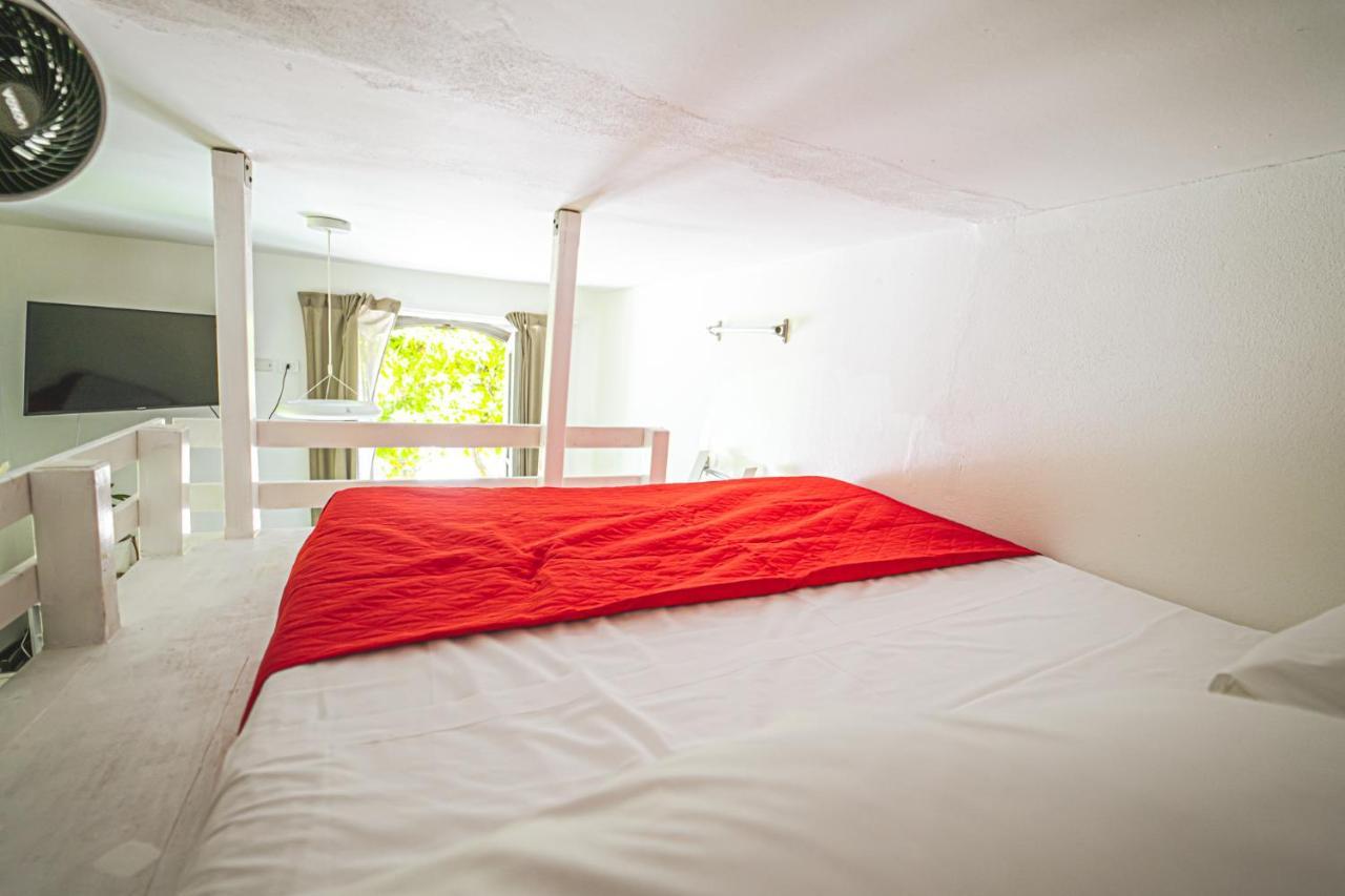 Appartement Avocadohouse2Vistaterme à San Pellegrino Terme Extérieur photo
